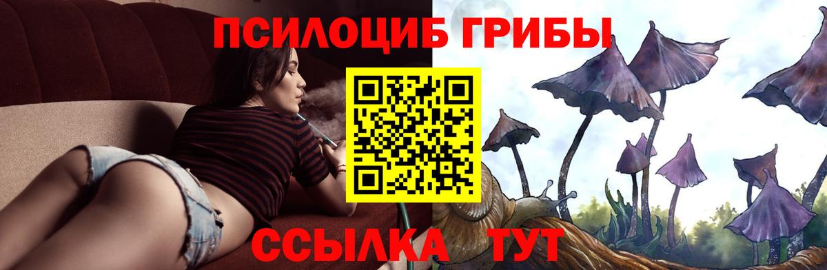 Псилоцибиновые грибы GOLDEN TEACHER Пушкино